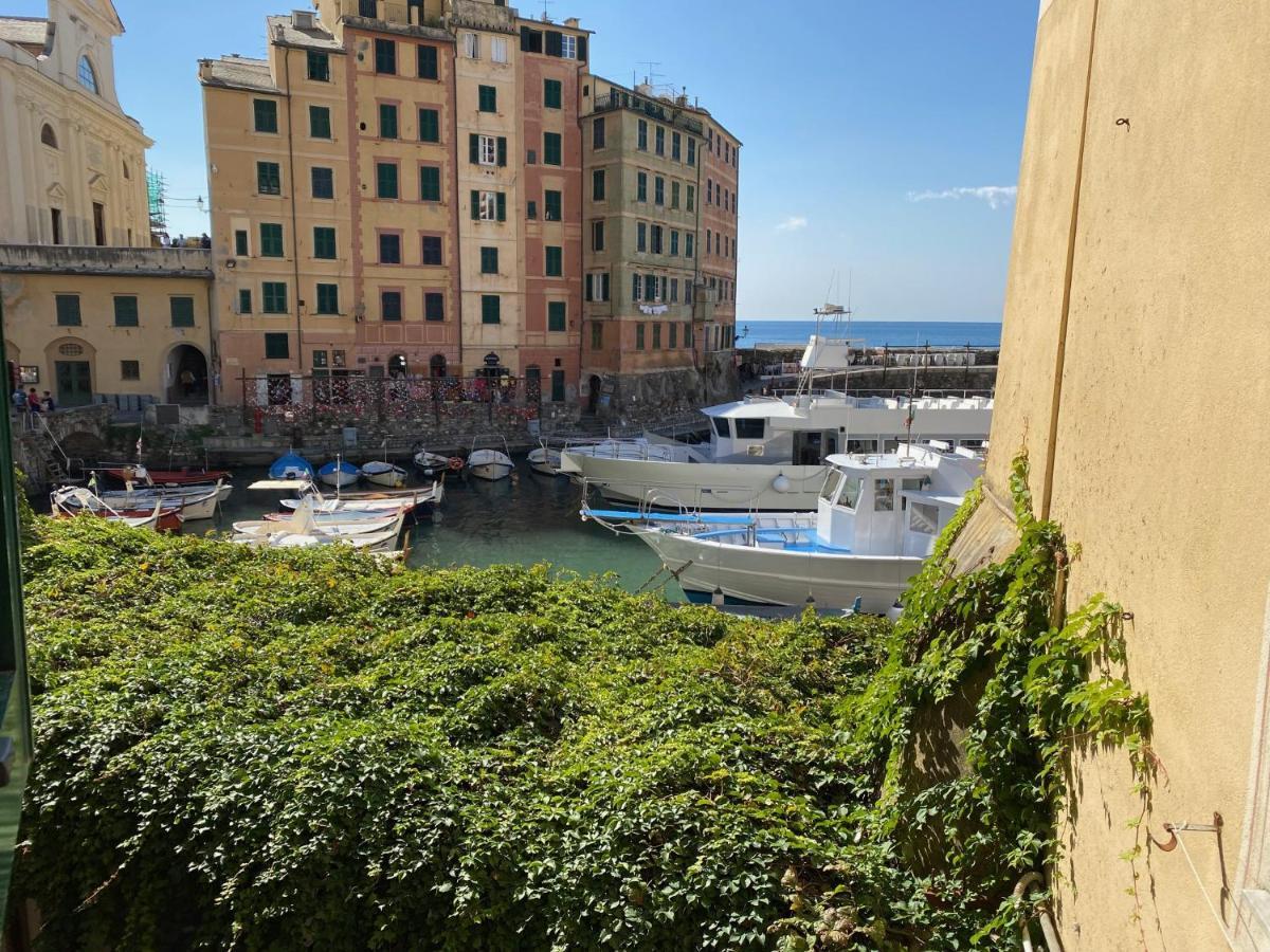 Camogli - "La Casa Di Judi" - Liguria Holidays 外观 照片